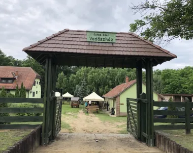 Hirschjagd Angebot Beleg Komitat Somogy